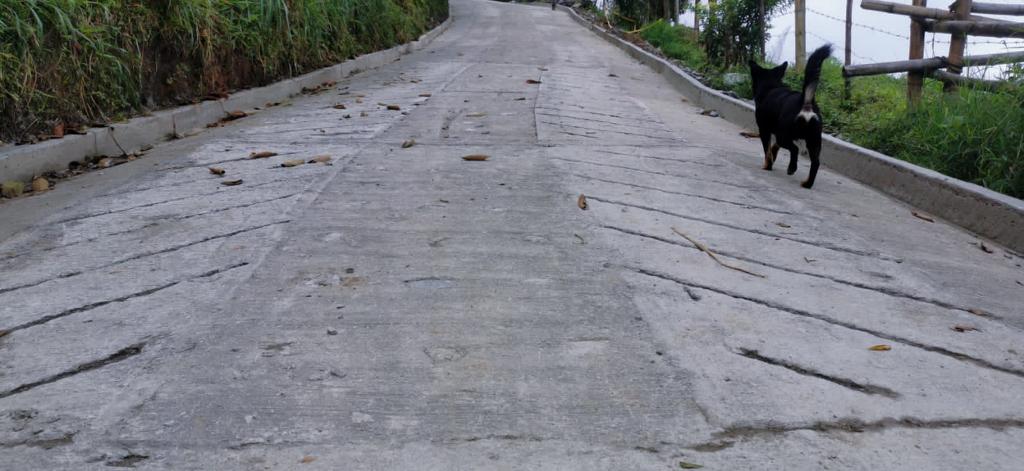 Alcaldía finalizó dos de los nueve tramos de la placa huella más grande que se construye en una sola vereda de Manizales