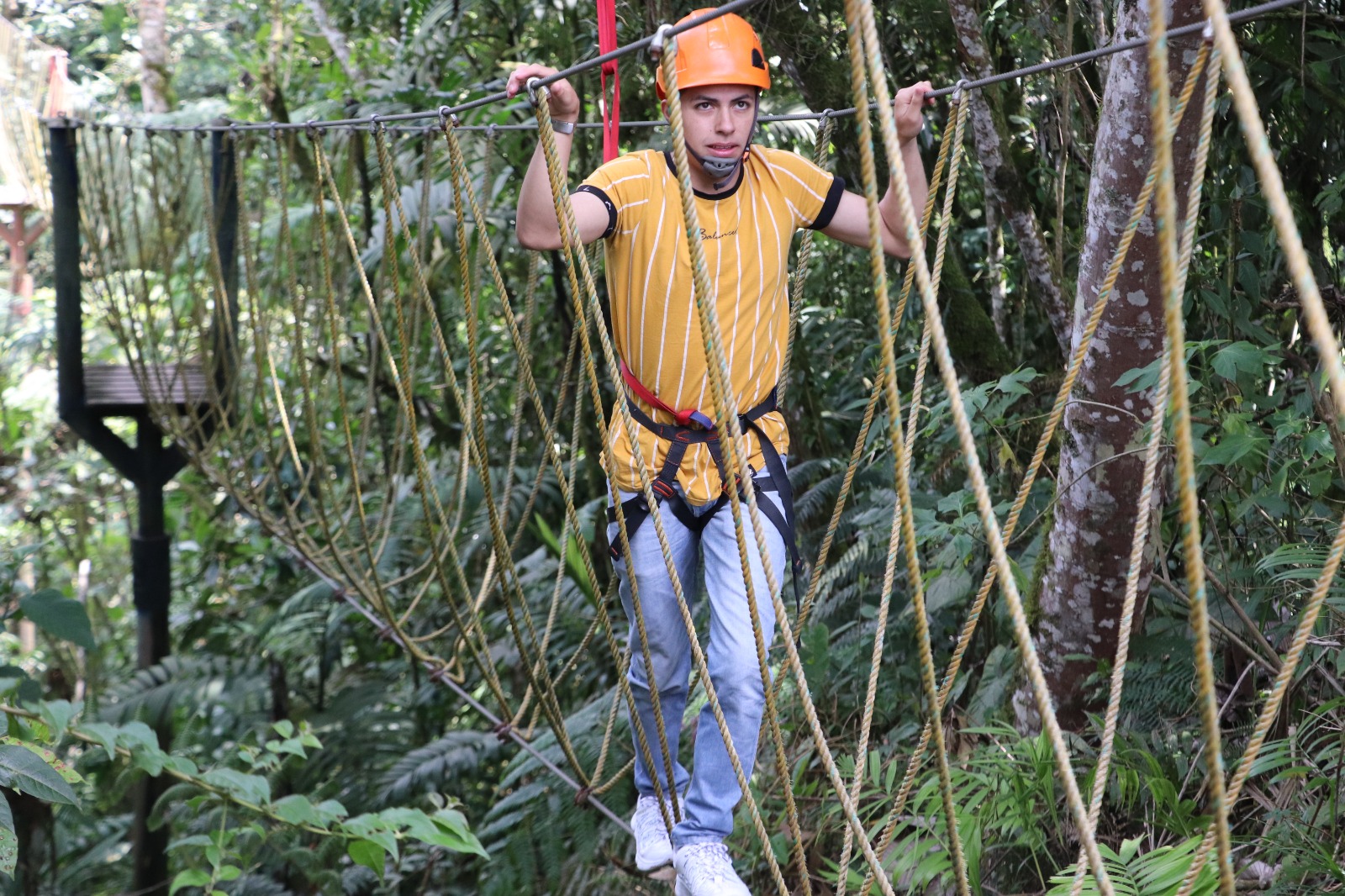 Visitantes Del Ecoparque Los Yarumos Califican Como "espectacular" La ...