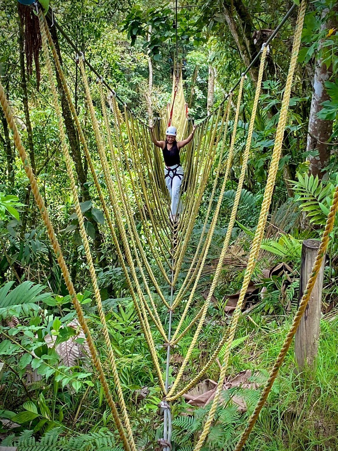 Con Nuevas Atracciones, El Bioma Del Ecoparque Los Yarumos Promete ...