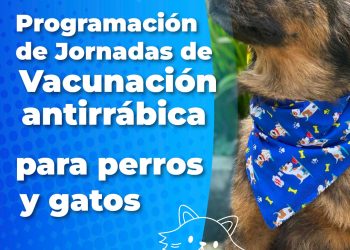 Secretaría de Medio Ambiente programa jornadas gratuitas de vacunación antirrábica