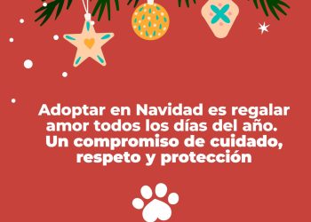 Esta Navidad, adopta amor: la UPA invita a darles un hogar a los peluditos que esperan una segunda oportunidad
