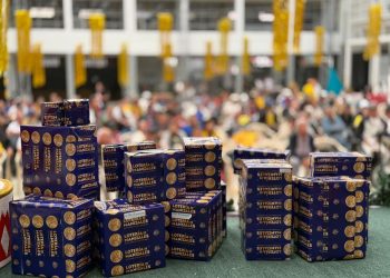 La Lotería de Manizales celebró con sus loteros un año histórico de resultados