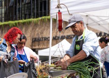 Manizales vivirá el segundo “Gobierno en la Calle Campesino” para apoyar a productores rurales