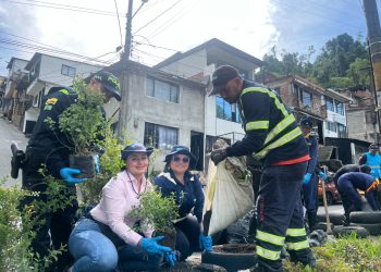 Embellecimiento en San Cayetano: impulso a la conciencia ambiental y el trabajo comunitario