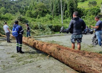 Con atención inmediata y entrega de ayudas, la UGR y Bomberos responden a las afectaciones por fuertes vientos en Manizales