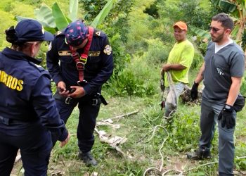 Bomberos Oficiales de Manizales y el GARA rescataron a un canino que cayó a un abismo
