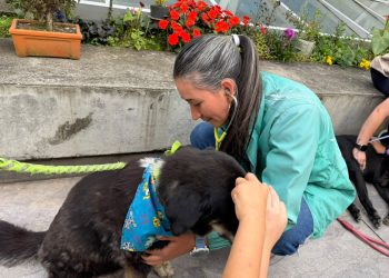 Vacaciones recreativas con la Unidad de Protección Animal (UPA): aprendizaje y amor por los animales