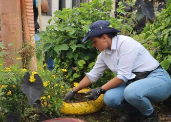 Jornada interinstitucional recupera el parque del barrio Porvenir y fortalece la cultura ambiental