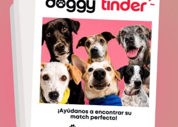Este sábado vive el Doggy Tinder: experiencia para encontrar el match perfecto y transformar vidas a través de la adopción