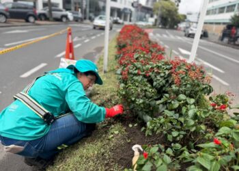 Alcaldía de Manizales fortalece el mantenimiento del ornato para conservar una ciudad más limpia y atractiva