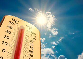 Temperaturas en aumento; llamado a prevenir la fiebre amarilla y otras enfermedades transmitidas por mosquitos
