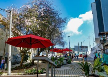 Nuevos puntos de reactivación comienzan hoy en el Bulevar de la 48 y Chipre