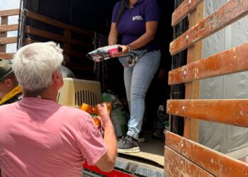 Donaciones de alimento para perros y gatos serán distribuidas en zonas afectadas por el sismo
