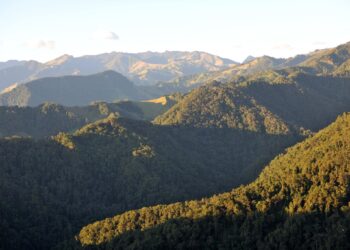 Reserva Río Blanco, destino natural para descubrir en Manizales