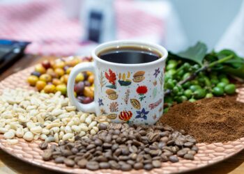 Café Fest 2026: AeroPress pondrá a prueba la creatividad de los amantes del café, desde este viernes en Expoferias