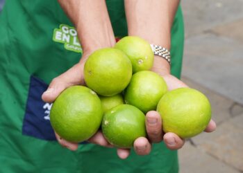 Productores rurales reciben más apoyo en jornada de Gobierno en la Calle Campesino