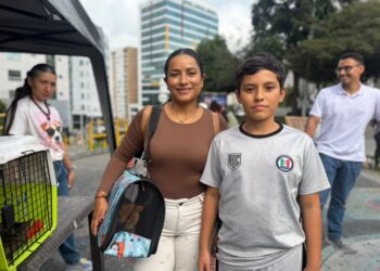 Una segunda oportunidad: Luz Viviana y su familia abrieron las puertas de su hogar a un gato con leucemia felina