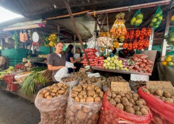 25 años entre frutas, trabajo y esfuerzo: la historia de Yari en la Plaza de Mercado de Manizales