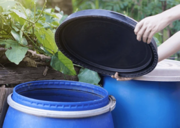 Agua bien almacenada y sin criaderos para prevenir el dengue en Manizales