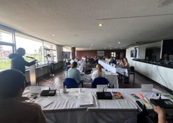 La Oficina de Atención a Personas con Discapacidad presentó informe de gestión de 2025 al Concejo Municipal