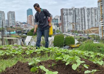 41 huertas y acompañamiento a productores rurales: impulso a la seguridad alimentaria