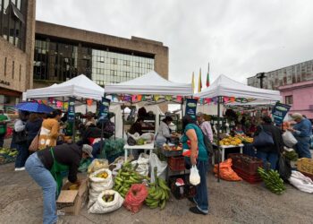 El campo manizaleño llenó la Plazoleta de la Alcaldía con sus productos y emprendimientos