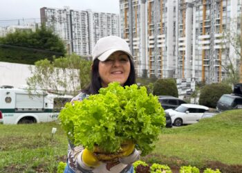 Huertas urbanas en Manizales: historias que cultivan alimentos, bienestar y amor por la tierra