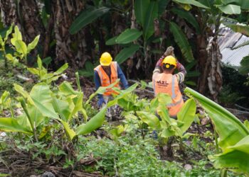 Obra de acceso a La Francia alcanza el 8,1% de ejecución; así se desarrollan los trabajos en el sector