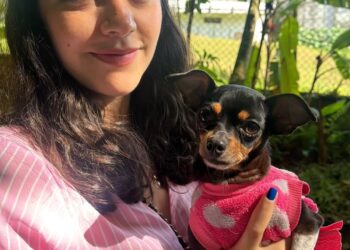 Bienestar animal con jornadas de esterilización en la Unidad de Protección Animal