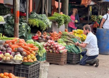 La Galería vuelve a latir con el primer ‘Viernes de Plaza’ en Manizales