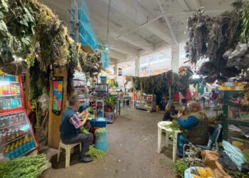Pesistas y coteros medirán su fuerza en el tercer Viernes de Plaza en Manizales